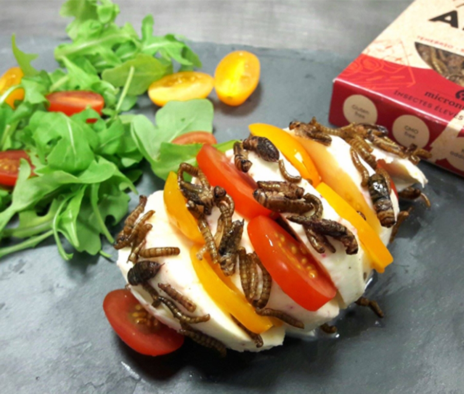 Tomates - Mozzarella aux insectes comestibles