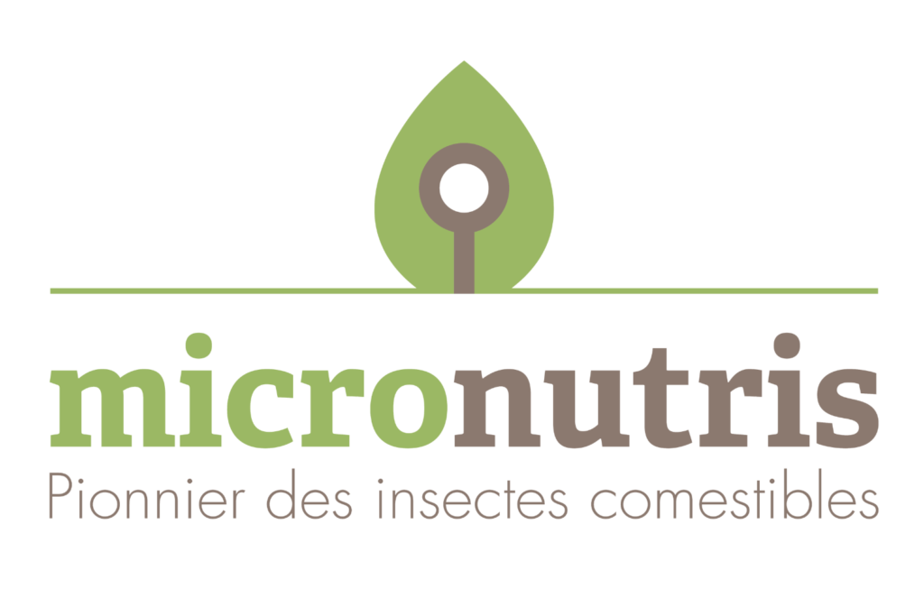 Les insectes comestibles, option riche en protéines et économique.