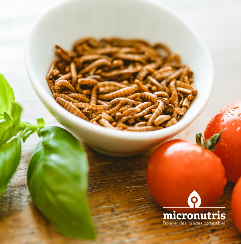 MICRONUTRIS : Les insectes comestibles de qualité